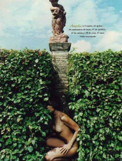 Angela-Vieira-14