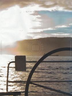 PBBRSE-31
