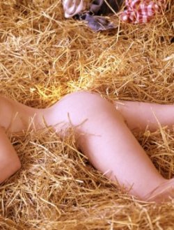 photo106