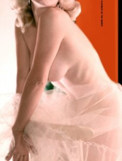 photo40